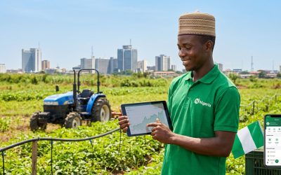 CBN's Agri-Boost: How Credit Support for Nigerian Farmers Impacts Food Security in